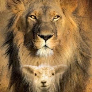 Meet your Posher, Jonathan bashan